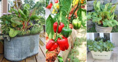 How to Grow a Vitamin C Vegetable Garden in Containers - balconygardenweb.com - county Garden