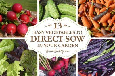 13 Easy Vegetables to Direct Sow - growagoodlife.com