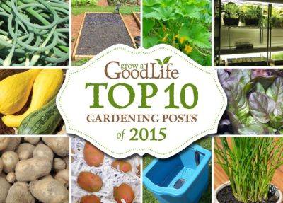 Top 10 Gardening Posts of 2015 - growagoodlife.com