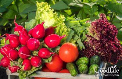 12 Easiest Vegetables to Grow in Your Garden - growagoodlife.com