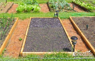 Planning Your Vegetable Garden: Mapping the Garden Beds - growagoodlife.com