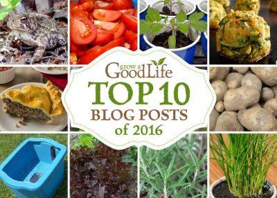 Grow a Good Life’s Top 10 Posts of 2016 - growagoodlife.com