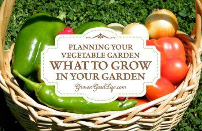 Vegetable Garden Planning: Choosing Vegetables to Grow - growagoodlife.com