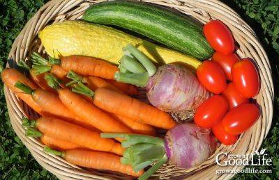 10 Reasons to Grow a Vegetable Garden - growagoodlife.com - state California - state Maine