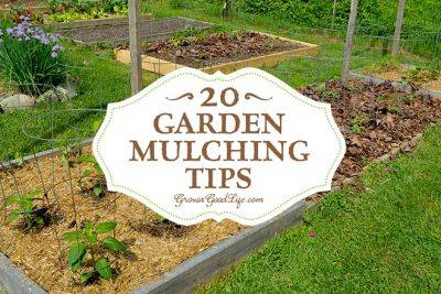 20 Garden Mulching Tips from Seasoned Growers - growagoodlife.com - county Garden