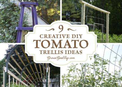 9 Creative DIY Tomato Trellis Ideas - growagoodlife.com