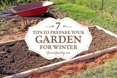 7 Tips to Prepare Your Vegetable Garden for Winter - growagoodlife.com