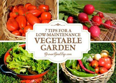 7 Tips for a Low-Maintenance Vegetable Garden - growagoodlife.com