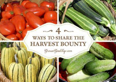4 Ways to Share the Garden Harvest Bounty - growagoodlife.com