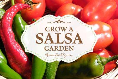 How to Grow a Salsa Garden - growagoodlife.com