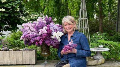 What we can learn from Martha Stewart's Bedford garden | House & Garden - houseandgarden.co.uk - state New York