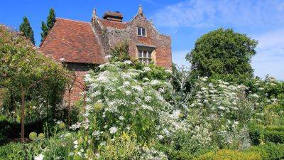 How to design a white garden | House & Garden - houseandgarden.co.uk - county Garden
