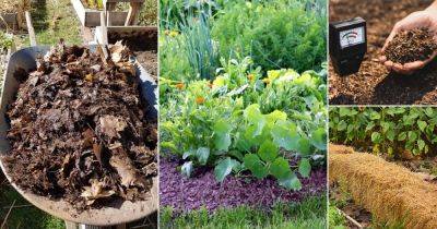 15 Hacks to Improve Your Garden Soil for Free - balconygardenweb.com