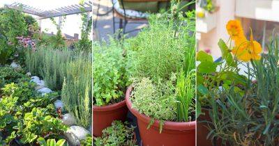 42 Best Rosemary Companion Plants - balconygardenweb.com