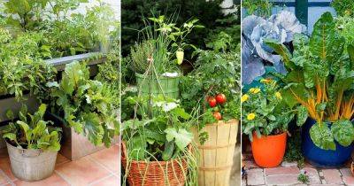 15 Tips To Create A Decorative Container Vegetable Garden - balconygardenweb.com