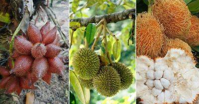 12 Fruits that Stink and Smell - balconygardenweb.com