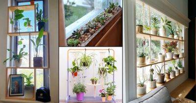 17 Genius Space Saving Moves to Grow More Indoor Plants in Your Apartment - balconygardenweb.com