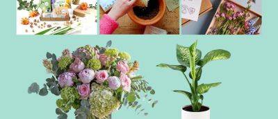 The Best Gardening Subscription Boxes and Kits in 2023 - gardenersworld.com