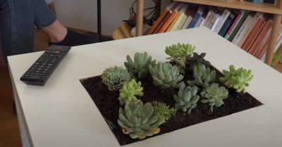 DIY Succulent Table: Step-By-Step Instructions to Do It Yourself - hometalk.com - Sweden