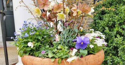 How to Design and Construct Your Own Spring Planters - gardenerspath.com