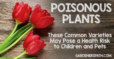 Poisonous Plants: 11 Common Varieties are a Health Risk - gardenerspath.com -  California
