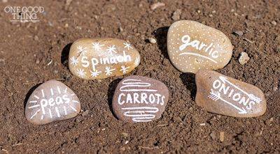 Beautifully Simple Garden Markers You Can Make In 15 Minutes! - onegoodthingbyjillee.com