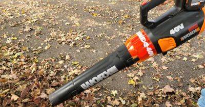 Worx WG584 Turbine Cordless Leaf Blower Review - gardenerspath.com