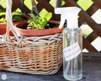 Make Your Own Chemical-Free Mosquito Repellent - onegoodthingbyjillee.com