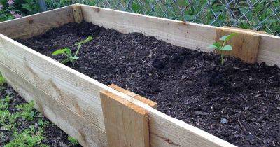 Make These Easy DIY Raised Beds (With Instructions) | Gardener's Path - gardenerspath.com