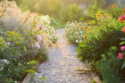 Keep Your Late Summer Garden Going Strong -Gardeners Path - gardenerspath.com - Usa