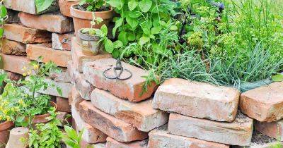 15 Creative Ways to Use Bricks in Garden Design | Gardener's Path - gardenerspath.com