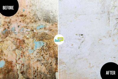 How to Get Rid of Mold and Mildew (We Tested 5 Methods) - fabhow.com