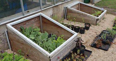 How to Overwinter Plants in a Cold Frame - gardenerspath.com -  Alaska