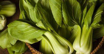 The Difference Between Bok Choy and Baby Bok Choy - gardenerspath.com - China