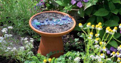 A Review of Stephanie Rose’s Garden Alchemy | Gardener's Path - gardenerspath.com