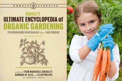 A Review of Rodale’s Ultimate Encyclopedia of Organic Gardening - gardenerspath.com