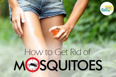 How to Get Rid of Mosquitoes - fabhow.com