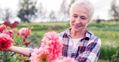 How Senior Citizens Can Benefit From Gardening | Gardener's Path - gardenerspath.com - Britain - Netherlands
