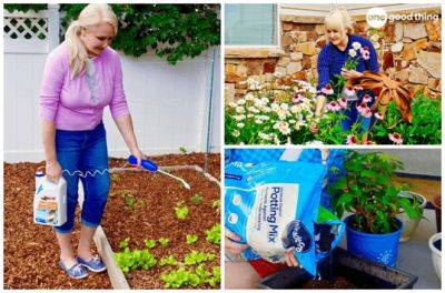 8 Common Gardening Mistakes (And How To Fix Them!) - onegoodthingbyjillee.com