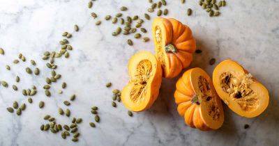 How to Save Pumpkin Seeds to Roast and Eat - gardenerspath.com