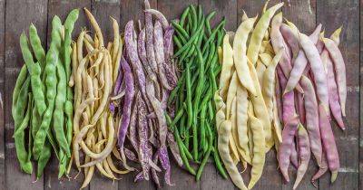 15 of the Best Types of Pole Beans - gardenerspath.com