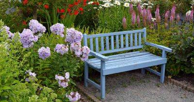 11 of the Best Garden Benches for 2023 - gardenerspath.com