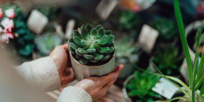 125 Cute Plant Names for Girls and Boys - goodhousekeeping.com