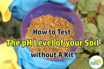 How to Test the pH Level of your Soil without a Kit - fabhow.com