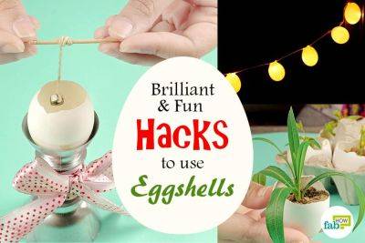 How to Use Eggshells in Garden and to Make Fairy Lights, Candles & More - fabhow.com