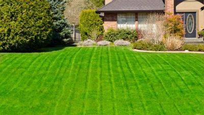 The Best Tips for a Luscious, Healthy Lawn | Gardener's Path - gardenerspath.com