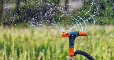 Garden Irrigation 101: Ollas, Soaker Hoses & Other Methods - gardenerspath.com