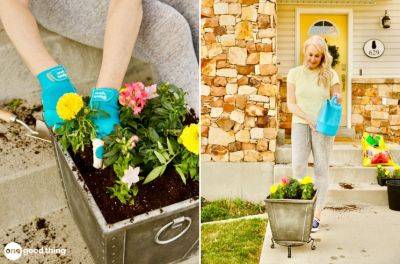 11 Tips For Planting Flower Pots That Will Thrive - onegoodthingbyjillee.com