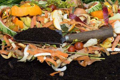 How to Get Started With Composting | Gardener's Path - gardenerspath.com