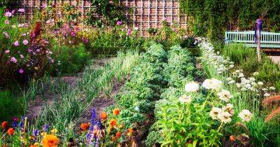 Popular Garden Myths Explored - gardenerspath.com